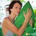 Ежедневные гигиенические прокладки Bella Perfecta ultra Green 32 шт 5900516304553